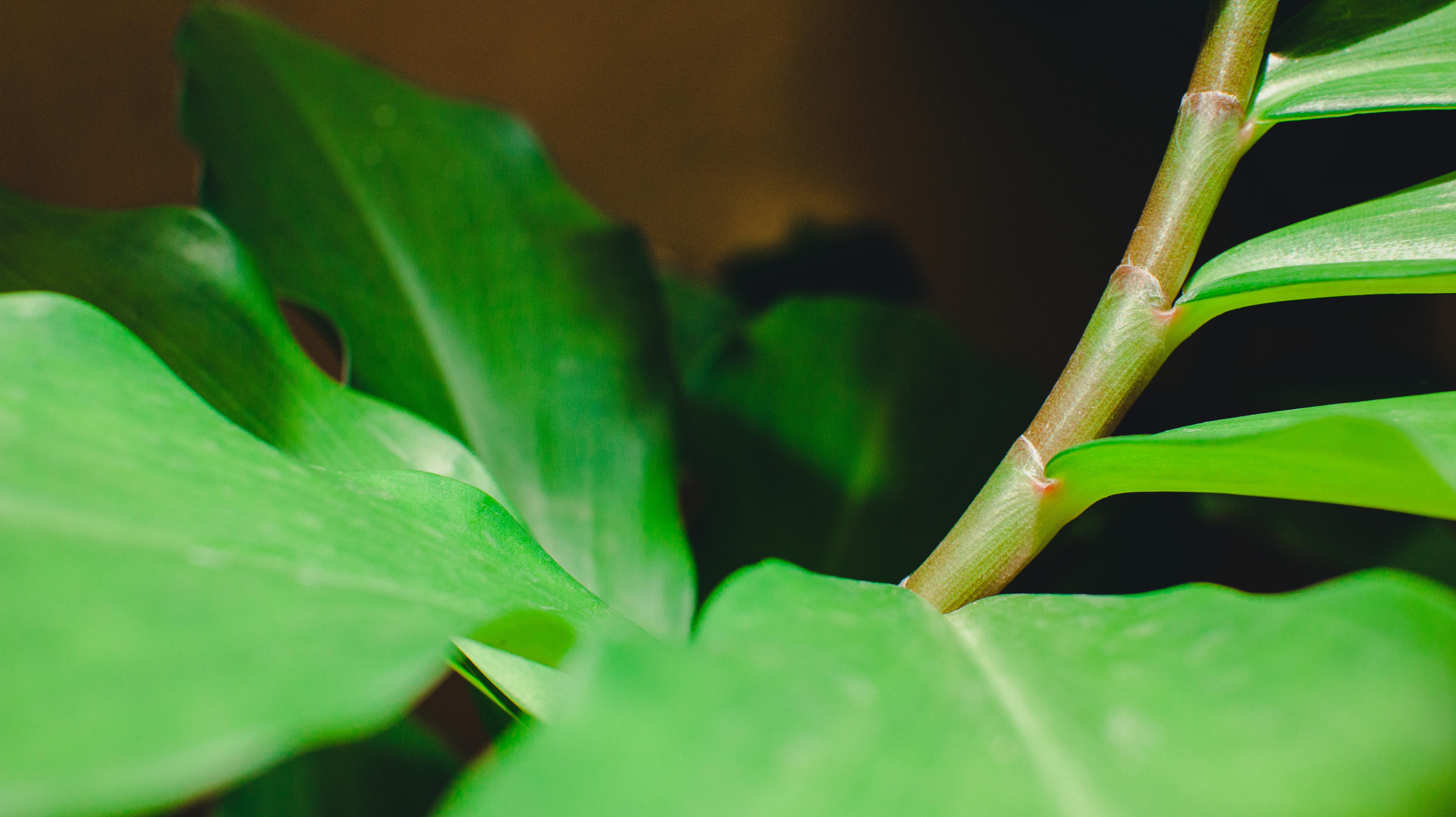 Schöne Gartenbeleuchtung bei Nacht